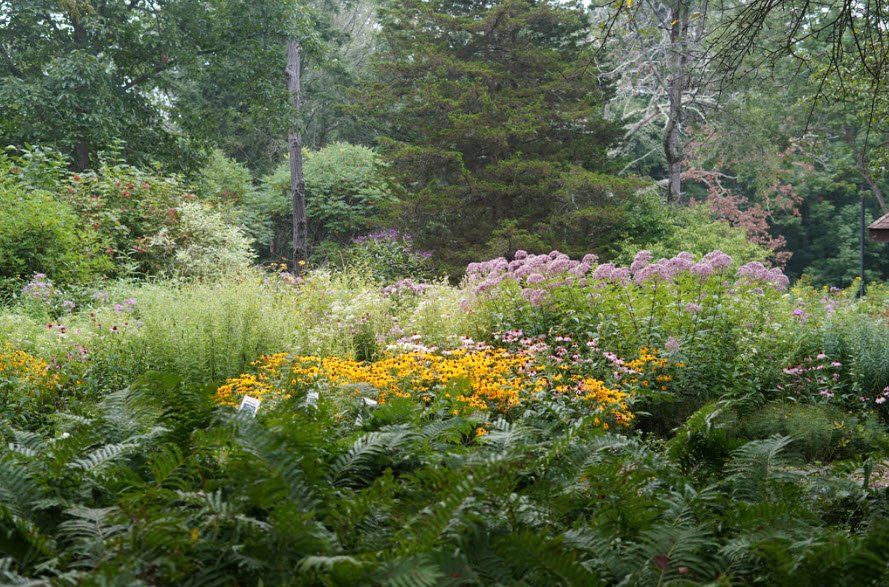 Richard Haley Wildlife Gardens, United States